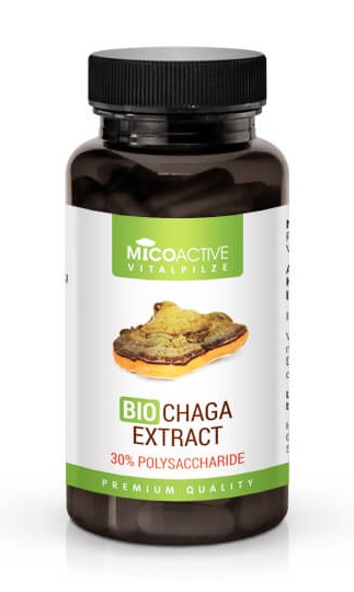 Micoactive Bio Chaga Extract – capsule antioxidante – 80 cps